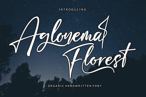Aglonema Florest: Elegant Charm in a Script Font