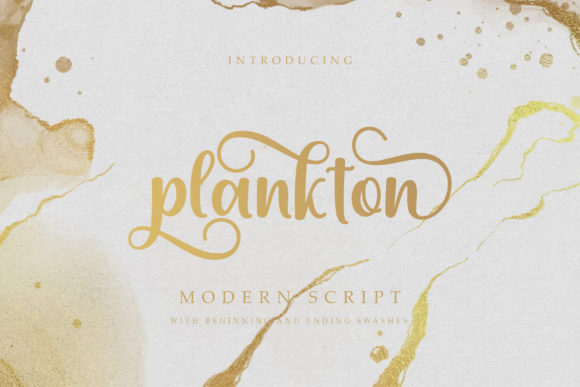 Plankton: An Elegant Script Font for Creators