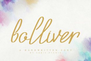 Testing Bolliver for a Real Branding Project
